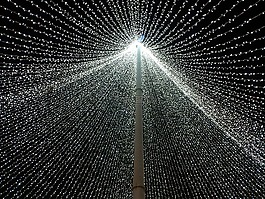 布加勒斯特,圣诞节,灯