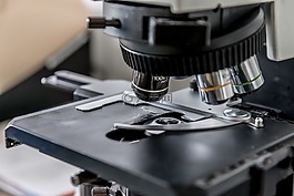 显微镜,实验室,测试