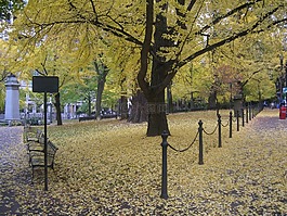 波特兰,俄勒冈州波特兰市,风景