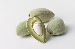 杏仁,船体,螺母