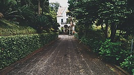 通路,房子,绿色