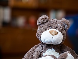 熊,泰迪熊,可爱