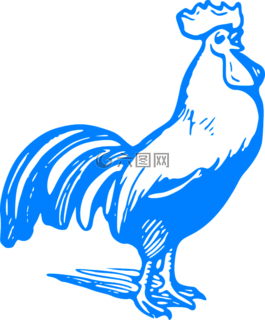 公鸡,鸡,乌鸦
