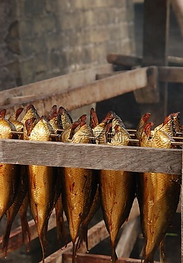 鱼,抽烟,食品