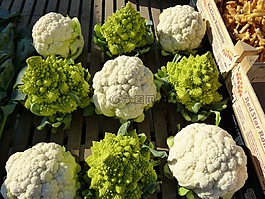 菜花,科尔,卷心菜