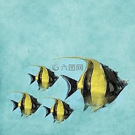 菲舍尔,水,游泳