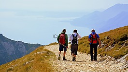 径,步行,徒步旅行