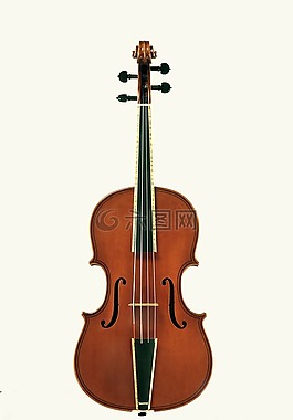 小提琴,弦乐器