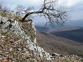 深度,pes石,榉木山