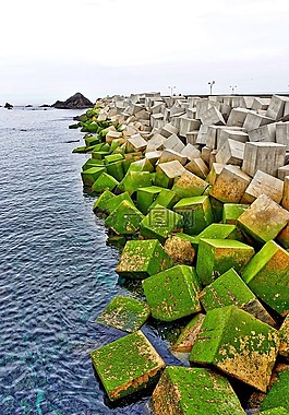 混凝土块,海,绿色