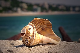 海,自然,蓝光