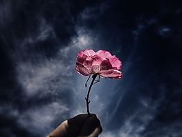 天空,罗莎,粉色的手