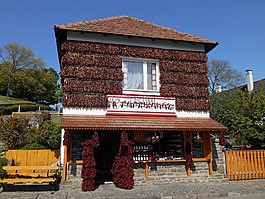商店,真实,传统的蒂豪尼