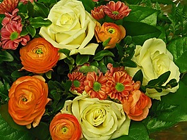 束鲜花,花商,束玫瑰