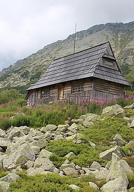 冬奥会,五塘山谷,景观