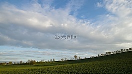 景观,树木,自然景观