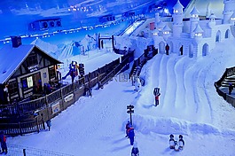 雪域,草坪,巴西