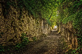离,汉森,kaiserstuhl