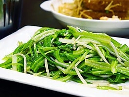 绿龙蔬菜,青龙菜,豆芽