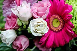 洋桔梗,花,鲜花