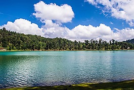 水,森林,蓝色的天空