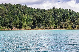 水,森林,蓝色的天空