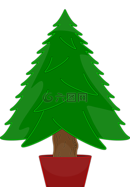 树,圣诞节,绿色