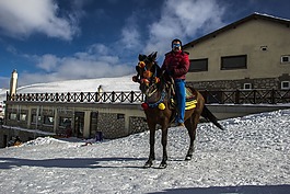 雪,冬天,旅游