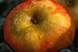 水果,苹果,秋天