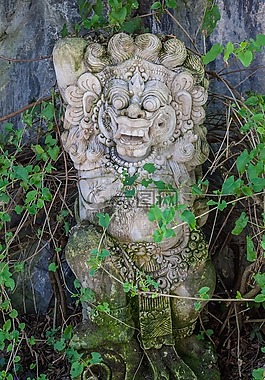 图像,印度人,林