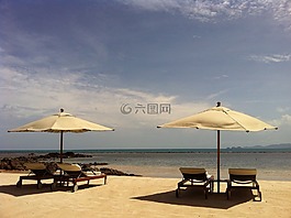 上电极,海滩,梧桐