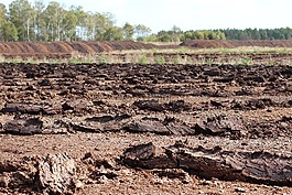 系泊,泥炭,自然保护区