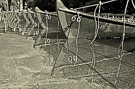 船,水,业余爱好