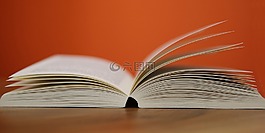 本书,开放,页
