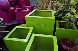 锅,绿色,粉红色