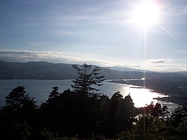 晚间,湖泊,树