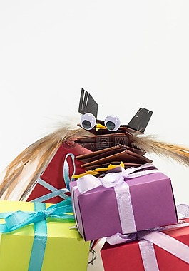 孩子们的生日,礼物,软件包