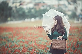 女士,女人,亚洲