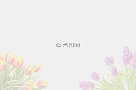 花,背景,帧