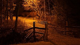 夜景,路灯人行道,桥