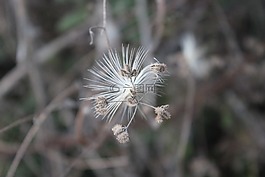 伊兹米特,科贾埃利,土耳其