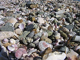 但是,海滩,海