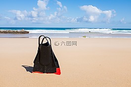 海滩,脚蹼,潜水装备
