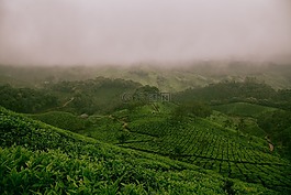 雾,有雾,自然