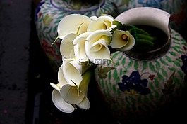 海芋,花瓶,缺口