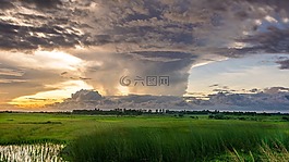 自然,天空,绿色