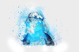 海豚,动物,艺术