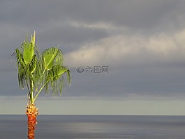 性质,海滩,las palmas de gran