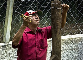vo,granfather,奥德曼
