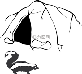 臭豆腐,臭鼬,气味